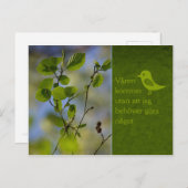 Våren kommer ändå CC0838 Slappna av Briefkaart (Voorkant / Achterkant)