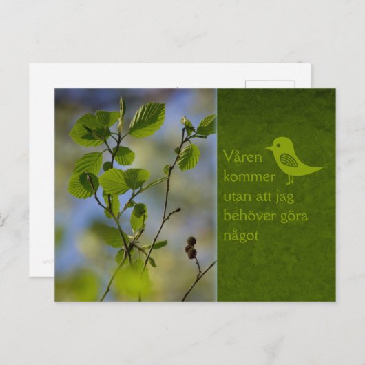 Våren kommer ändå CC0838 Slappna av Briefkaart (Voorkant / Achterkant)