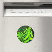 Varen Live Zen Magnet (Insitu (Vaatwasser))