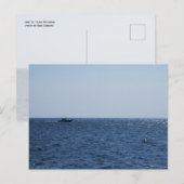 Varen op Lake St. Clair Briefkaart (Voorkant / Achterkant)