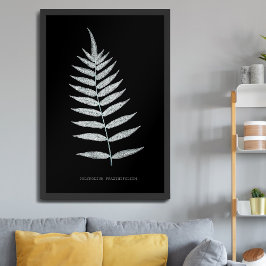 Varen - Polypodyum Fraxinifolium - Röntgen-effect  Poster