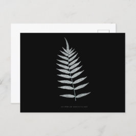 Varen - Polypodyum Fraxinifolium - Röntgenfoto-eff Briefkaart