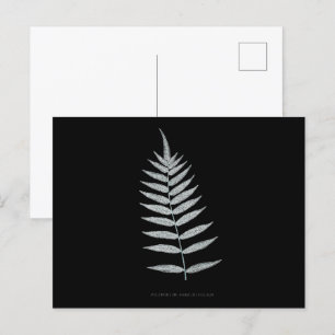 Varen - Polypodyum Fraxinifolium - Röntgenfoto-eff Briefkaart