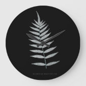 Varen - Polypodyum Fraxinifolium - Röntgenfoto-eff Grote Klok (Voorkant)
