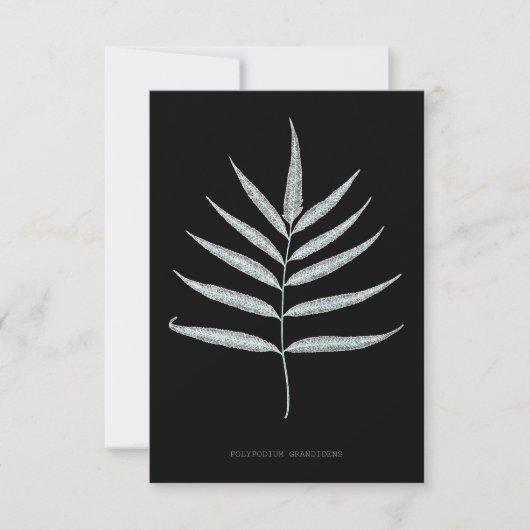 Varen - Polypodyum Grandidens - Röntgen-effect - 1 Bedankkaart (Voorkant)