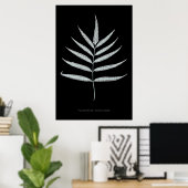 Varen - Polypodyum Grandidens - Röntgen-effect - 1 Poster (Thuiskantoor)