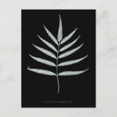 Varen - Polypodyum Grandidens - Röntgenstraling ef Briefkaart (Voorkant)