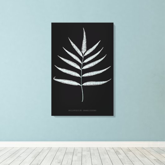 Varen - Polypodyum Grandidens - Röntgenstraling ef Canvas Afdruk (Insitu (Houten vloer))