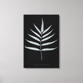 Varen - Polypodyum Grandidens - Röntgenstraling ef Canvas Afdruk (Voorkant)