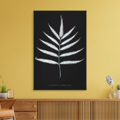 Varen - Polypodyum Grandidens - Röntgenstraling ef Canvas Afdruk (Insitu (Woonkamer))