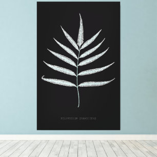 Varen - Polypodyum Grandidens - Röntgenstraling ef Canvas Afdruk