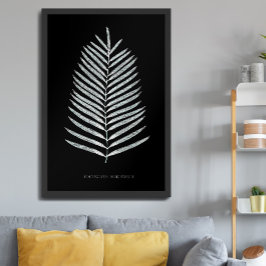 Varen - Polypodyum Henchmanii - Röntgen-effect - 0 Poster