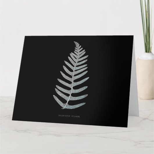 Varen - Polypodyum Vulgare - Röntgenfoto-effect - Bedankkaart (Voorkant)