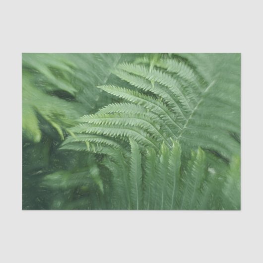 Varenbladeren Botanische Groene Kunst Tissuepapier (Voorkant)