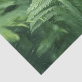 Varenbladeren Botanische Groene Kunst Tissuepapier (Detail)