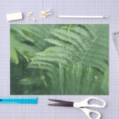 Varenbladeren Botanische Groene Kunst Tissuepapier (Craft)