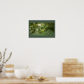 Varenbladeren Foto Poster (Keuken)