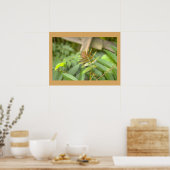 Varenbladeren Foto Poster (Keuken)