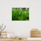 Varenbladeren IV Groen Natuur Botanisch Poster (Keuken)