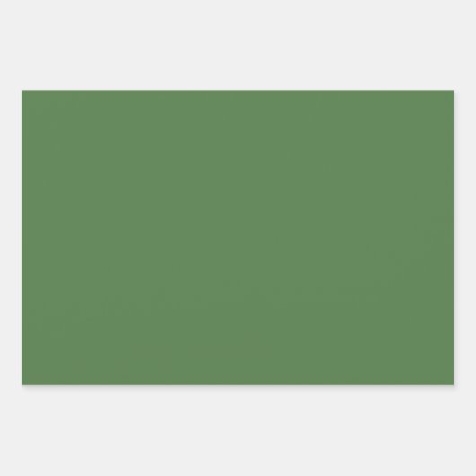 Varengroene effen kleur inpakpapier vel (Voorkant)