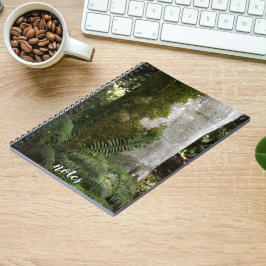 Varens en Mos Overdekte Boom Natuur Foto Notitieboek