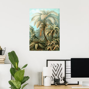 Varens, Filicinae door Ernst Haeckel, Oude Planten Poster