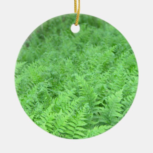 Varens Foto Ornament (Voorkant)