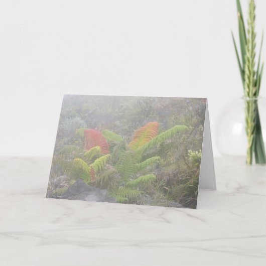 Varens in de Mist - Haleakala, Maui Kaart (Voorkant)