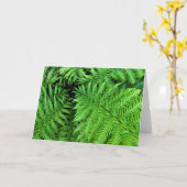 Varens Kaart (Gele Bloem)