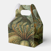 Varens Palmboom Antiek Botanische Varens Kunst Bedankdoosjes (Achterkant)