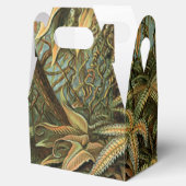 Varens Palmboom Antiek Botanische Varens Kunst Bedankdoosjes (Geopend)