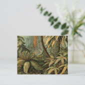 Varens Palmboom Antiek Botanische Varens Kunst Briefkaart (Staand voorkant)