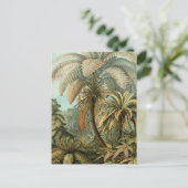 Varens Palmboom Antiek Botanische Varens Kunst Briefkaart (Staand voorkant)
