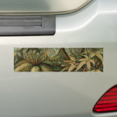 Varens Palmboom Antiek Botanische Varens Kunst Bumpersticker (Op auto)