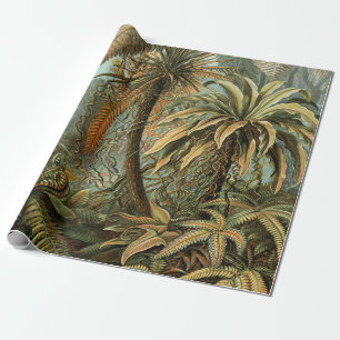 Varens Palmboom Antiek Botanische Varens Kunst Cadeaupapier