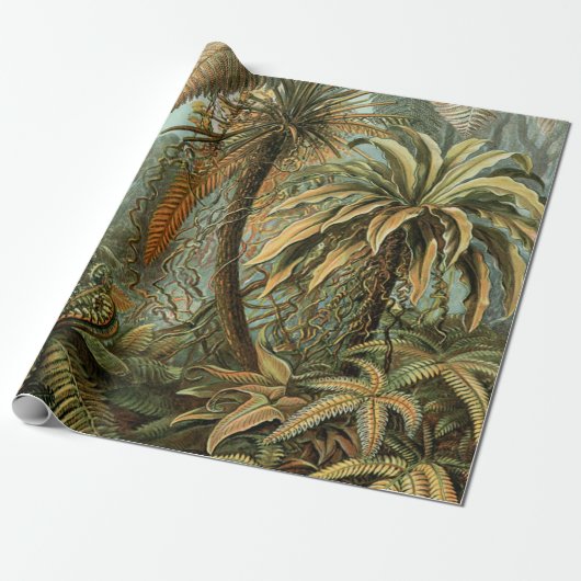 Varens Palmboom Antiek Botanische Varens Kunst Cadeaupapier (Uitgerold)