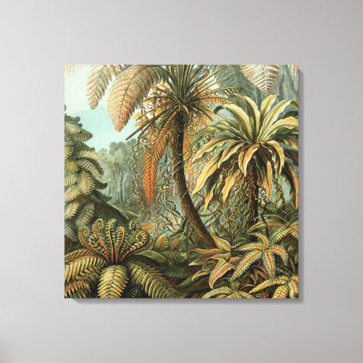 Varens Palmboom Antiek Botanische Varens Kunst Canvas Afdruk (Voorkant)