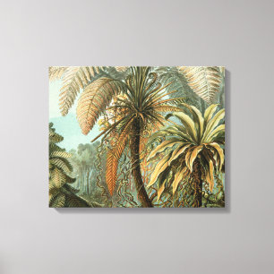 Varens Palmboom Antiek Botanische Varens Kunst Canvas Afdruk