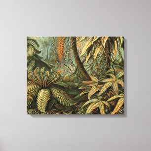 Varens Palmboom Antiek Botanische Varens Kunst Canvas Afdruk