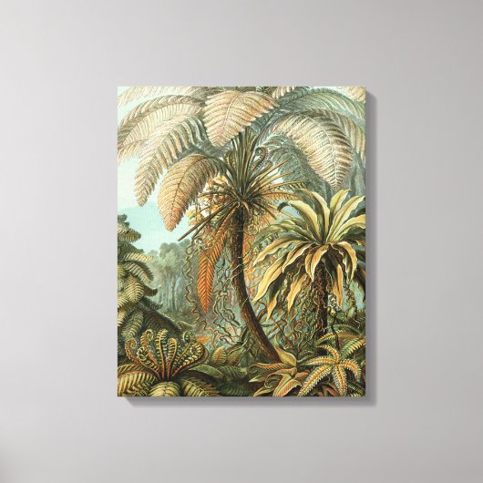 Varens Palmboom Antiek Botanische Varens Kunst Canvas Afdruk (Voorkant)