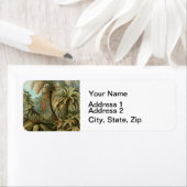 Varens Palmboom Antiek Botanische Varens Kunst Etiket (Insitu)