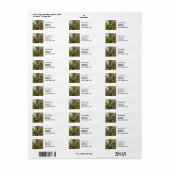 Varens Palmboom Antiek Botanische Varens Kunst Etiket (Full Sheet)