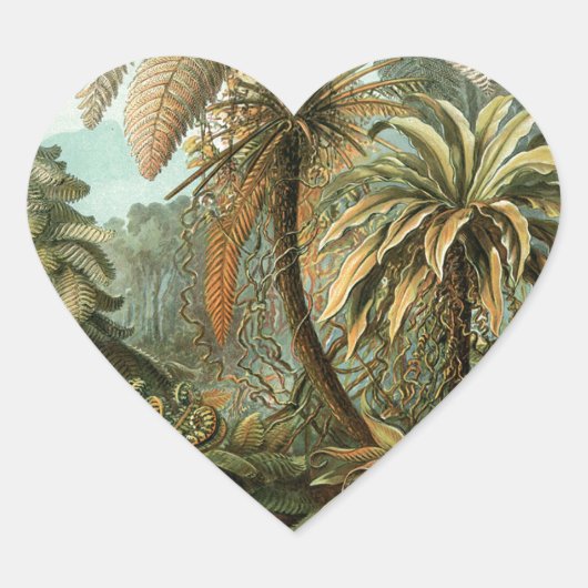 Varens Palmboom Antiek Botanische Varens Kunst Hart Sticker (Voorkant)