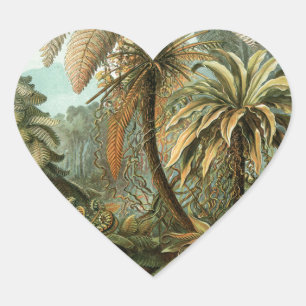 Varens Palmboom Antiek Botanische Varens Kunst Hart Sticker