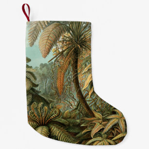 Varens Palmboom Antiek Botanische Varens Kunst Kleine Kerstsok