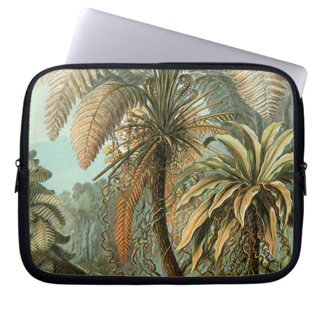 Varens Palmboom Antiek Botanische Varens Kunst Laptop Sleeve (Voorkant)