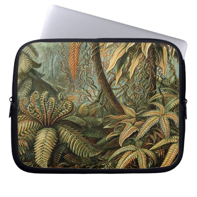 Varens Palmboom Antiek Botanische Varens Kunst Laptop Sleeve (Voorkant)