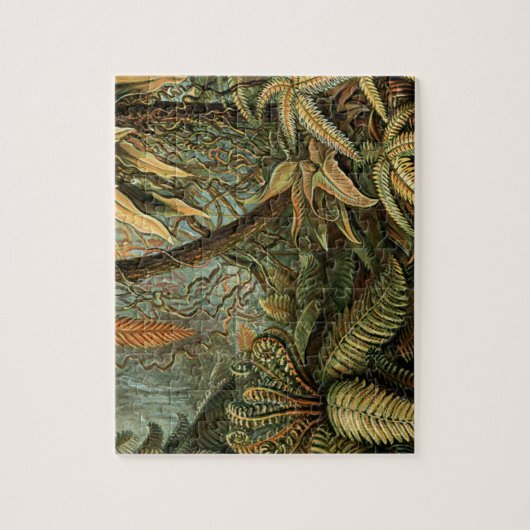 Varens Palmboom Antiek Botanische Varens Kunst Legpuzzel (Verticaal)