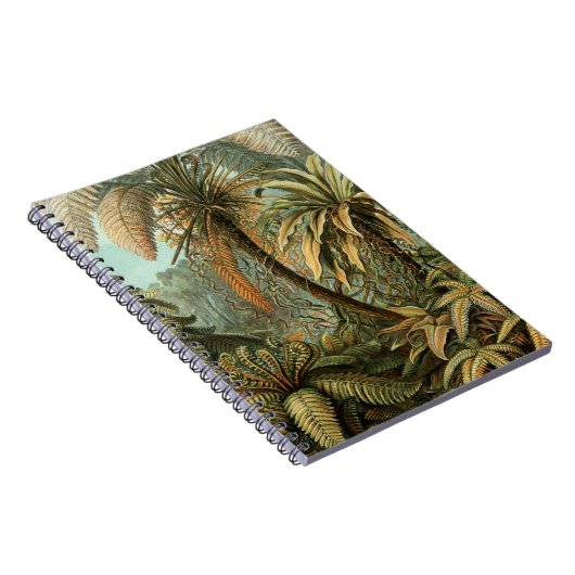 Varens Palmboom Antiek Botanische Varens Kunst Notitieboek (Rechterzijde)