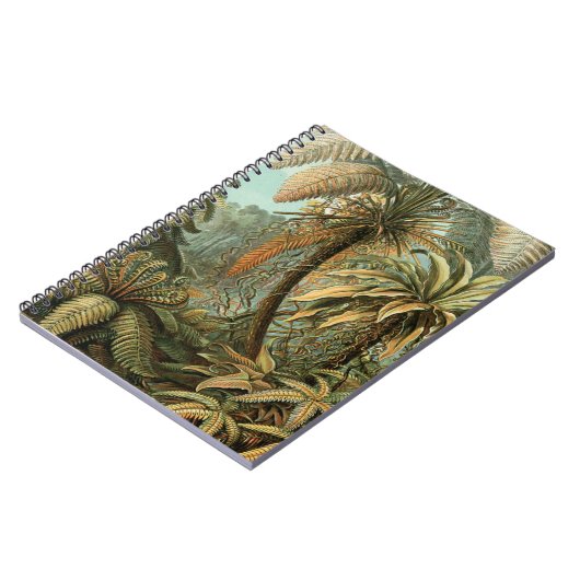 Varens Palmboom Antiek Botanische Varens Kunst Notitieboek (Linkerzijde)